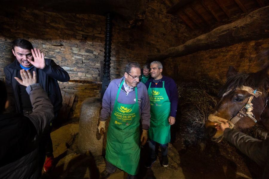 Elaboración de aceite en el molino de Latedo