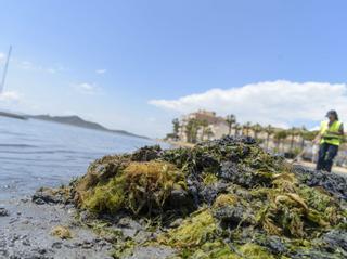El deterioro del Mar Menor provoca ya cancelaciones de las reservas hoteleras