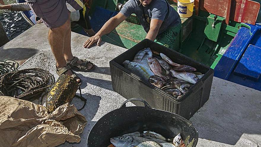Pescadores en el muelle de Punta del Hidalgo | | LP/DLP