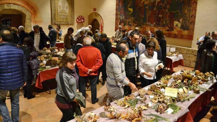 Numeroso público se acercó ayer al Parador para admirar la exposición micológica.