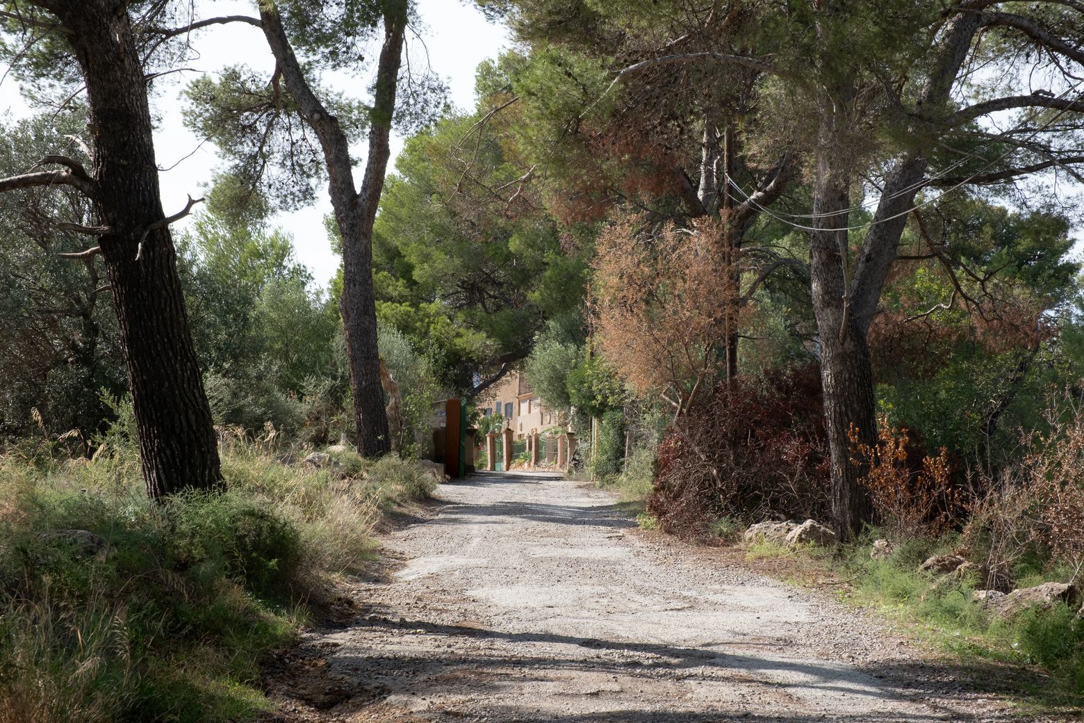 Las fotos de la histórica finca de Son Puigdorfila Nou, donde el Ayuntamiento de Palma construirá 542 viviendas