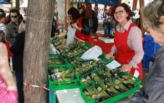 Sierra de Yeguas repartirá 2.000 kilos de espárrago en su fiesta grande