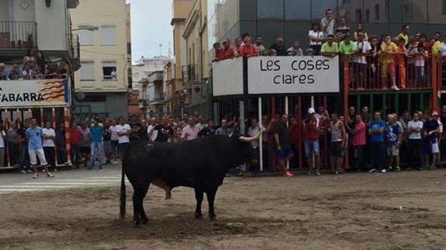 Moncofa busca peñistas para salvar las fiestas de San Antonio en octubre