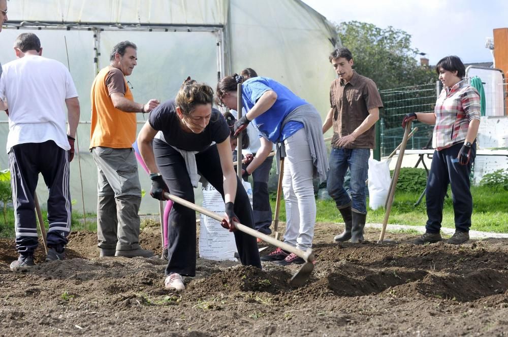 Curso de agricultura ecológica en Langreo