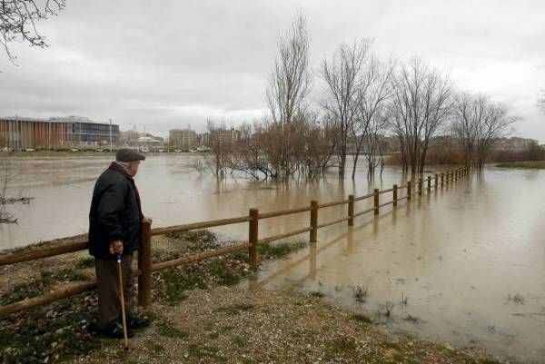 Fotogalería: Crecida en el río Ebro