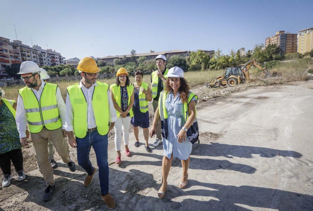 El futuro bosque urbano de Palma, en marcha