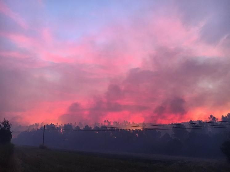 Incendi forestal a Vilopriu