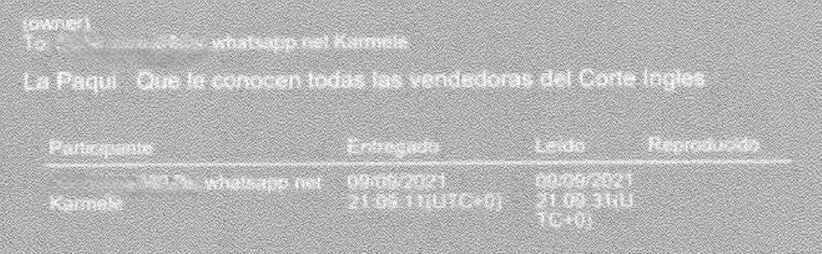 Mensaje del caso Koldo