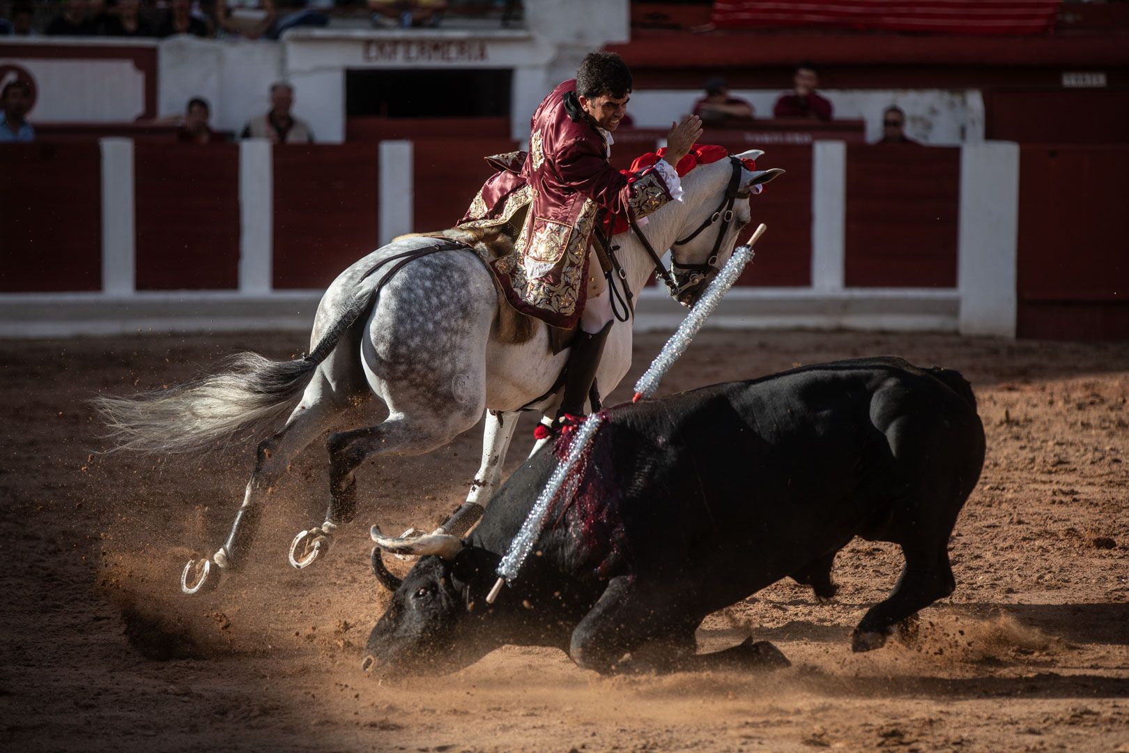GALERÍA | La corrida de rejones de Zamora, en imágenes