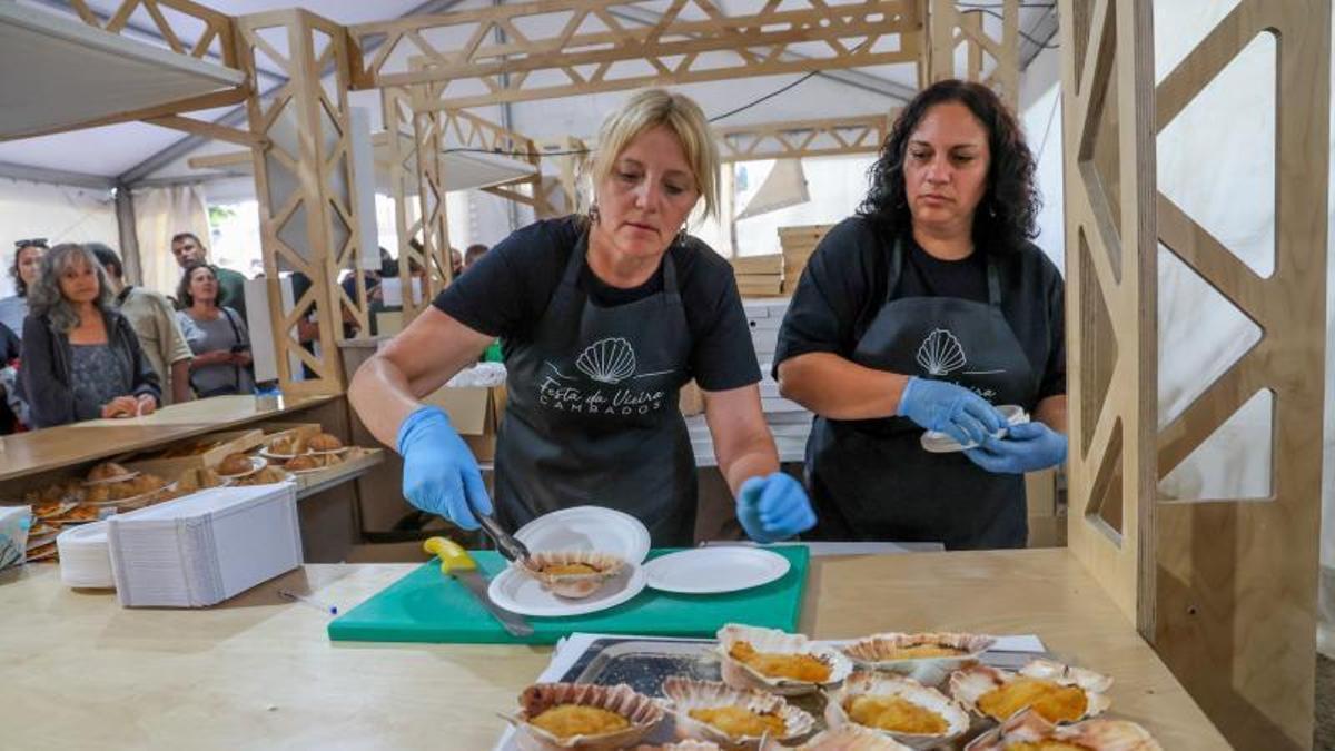 La vieira será la gran protagonista gastronómica de Cambados este fin de semana.