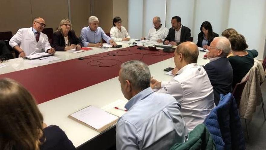 El Consejo de Salud, que se reunió ayer en el Hospital del Vinalopó.