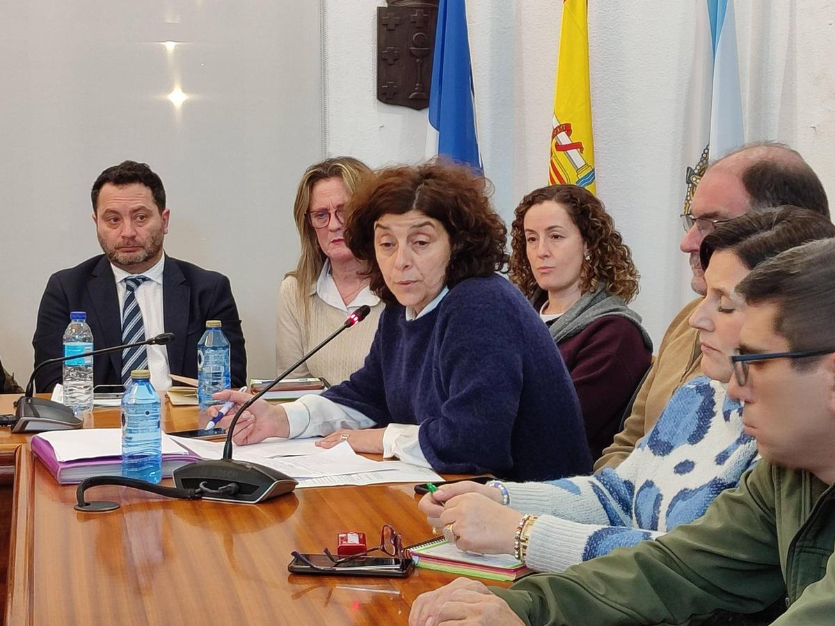 Elena Estévez durante una intervención en un pleno.