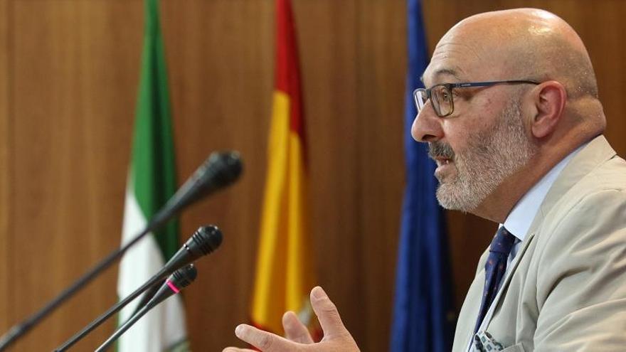 El portavoz parlamentario de Vox en el Parlamento andaluz, Alejandro Hernández.