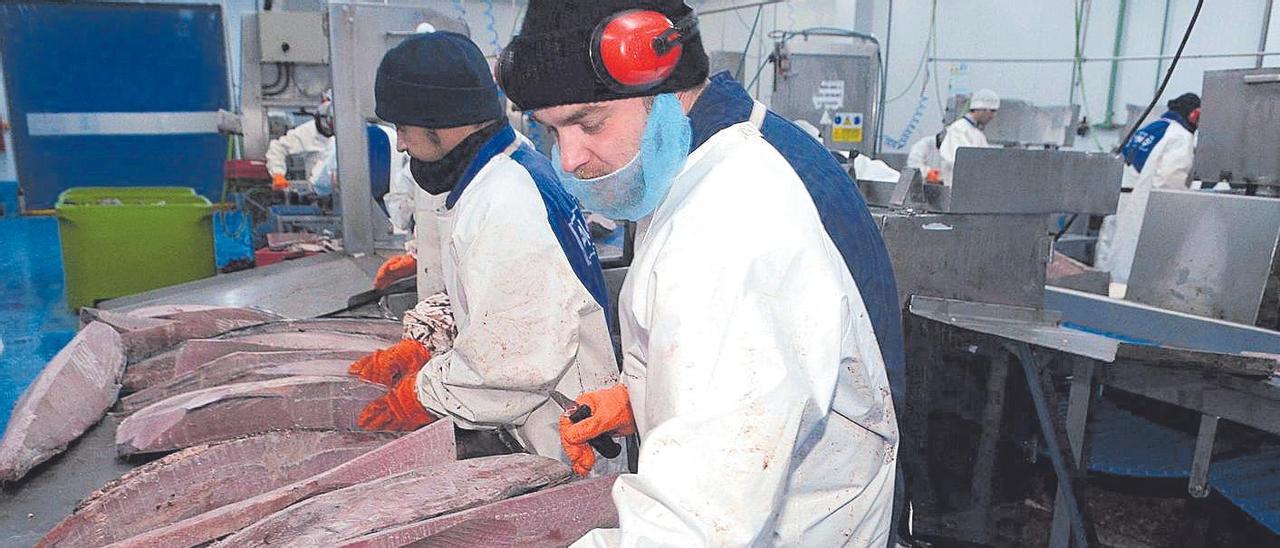 Empleados de la planta de Atunlo en Cambados, con piezas de Atún.