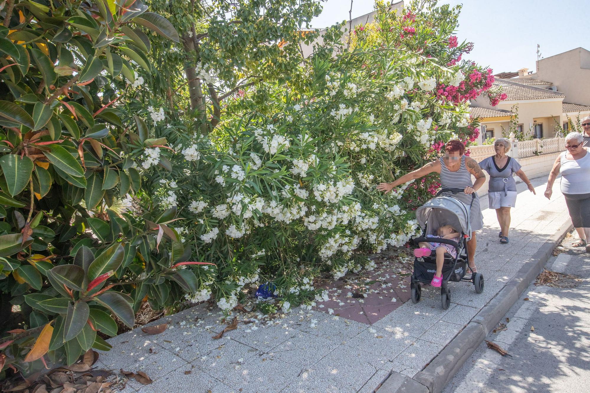 Parques en Orihuela Costa con deficiencias en el mantenimiento