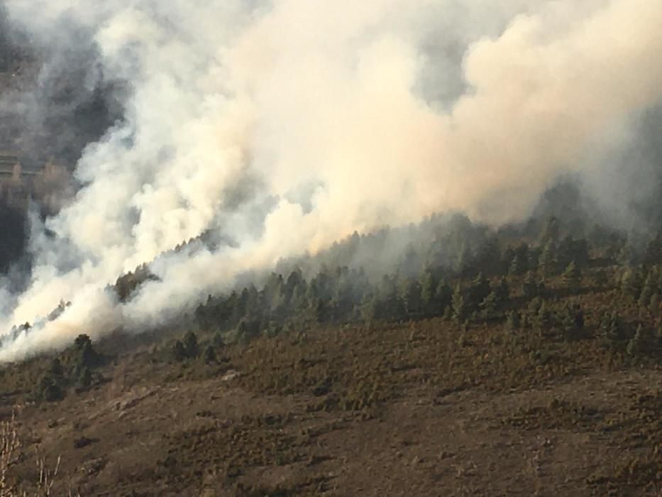 Incendi a una zona forestal de Montellà i Martinet