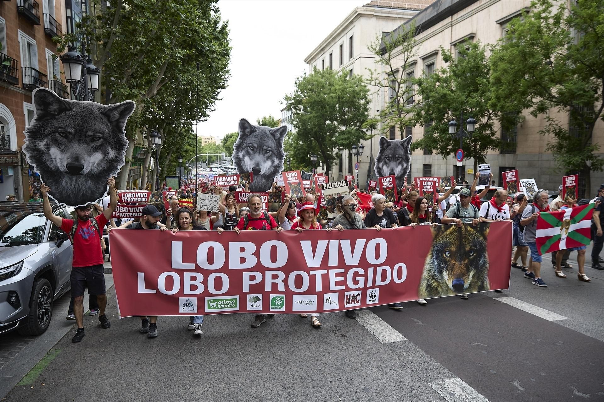 Las imágenes de la manifestación en Madrid por el lobo