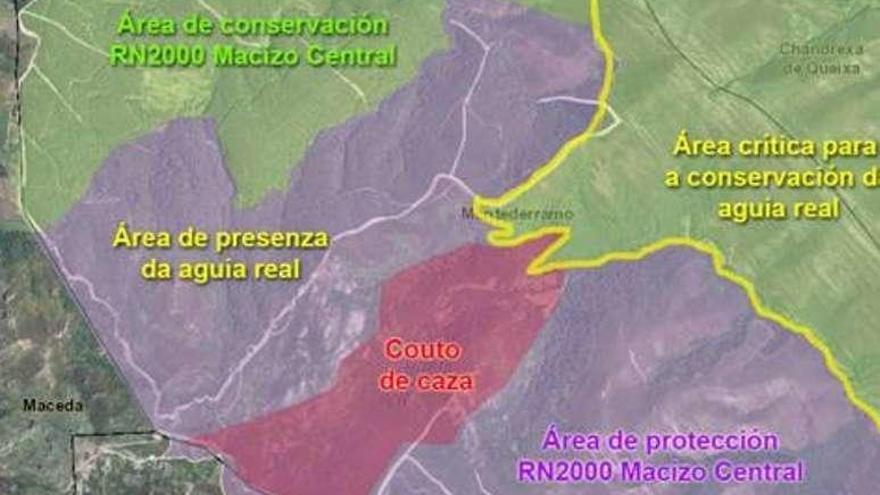Mapa con las zonas de protección y presencia del águila real. // FdV