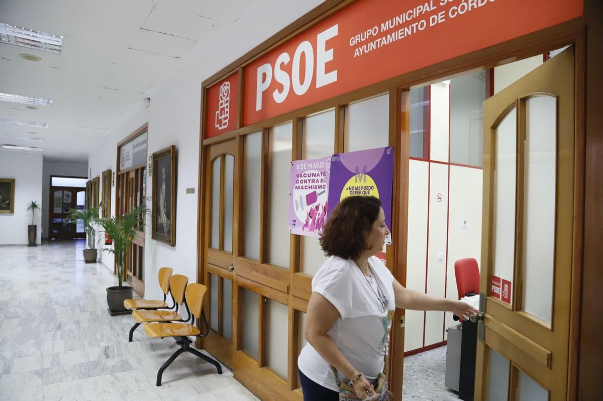 Alicia Moya accede al grupo municipal del PSOE en el Ayuntamiento.