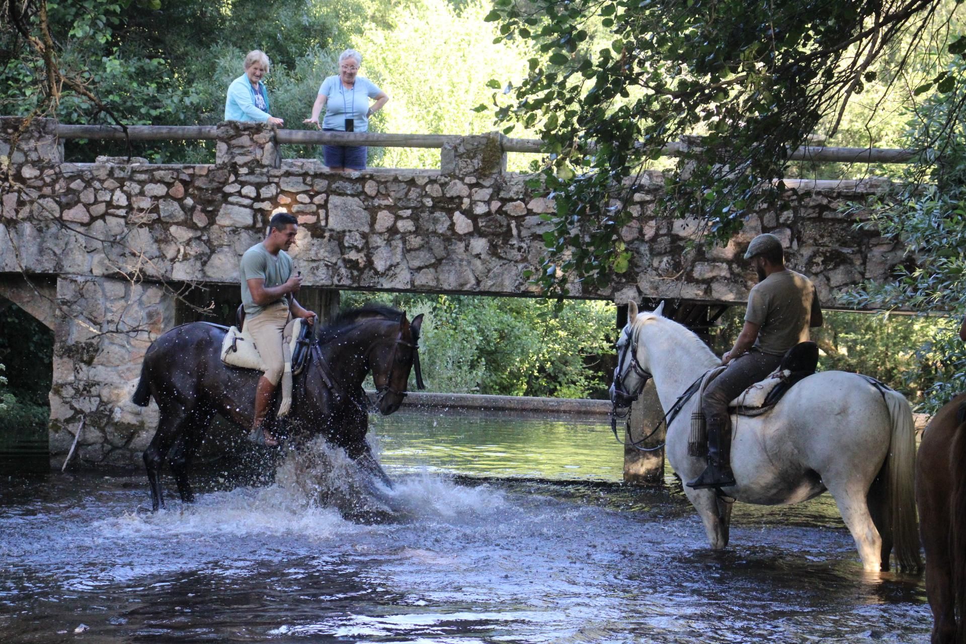 GALERÍA | Sanabria revive la transhumancia