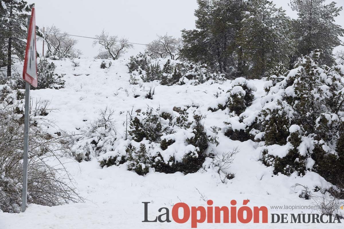 Continúa la nevada en las zonas altas de la comarca del Noroeste