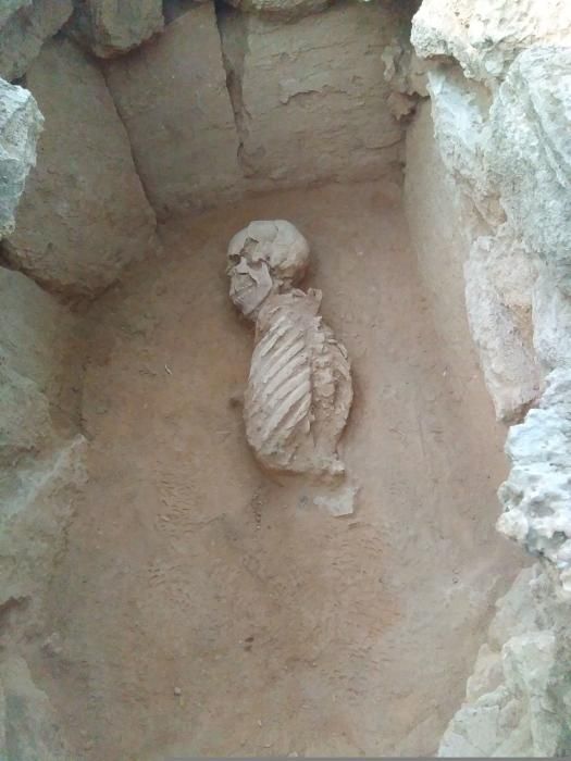 Aparecen nuevos restos humanos con una antigüedad de 2.500 años en Son Real