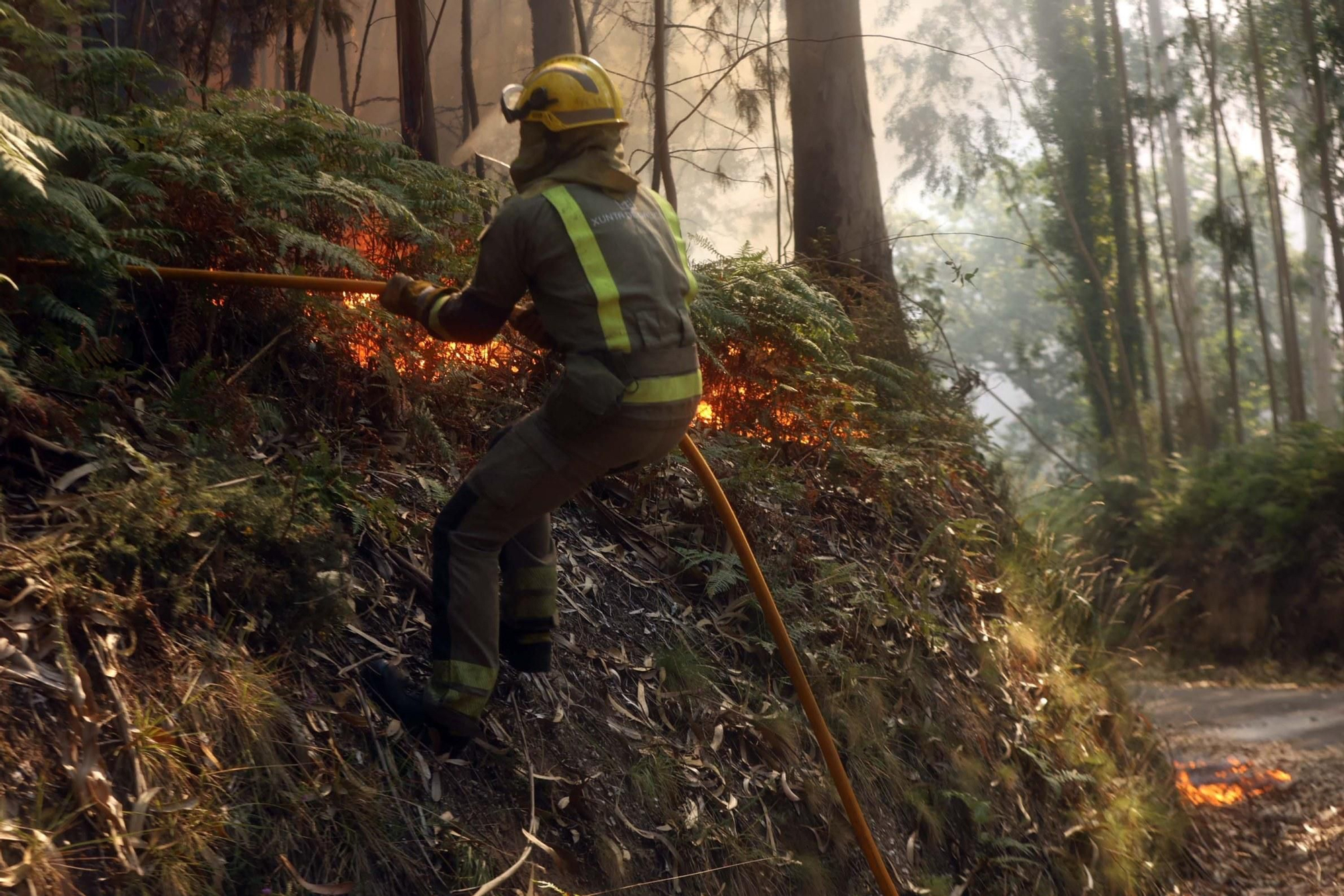 Espectacular incendio forestal en Meaño