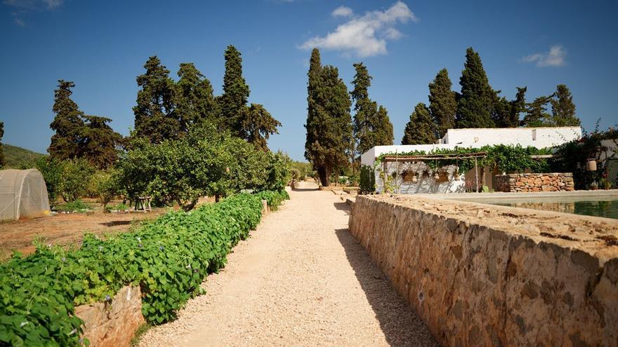 El dj Calvin Harris pide matrimonio a su novia bajo un árbol de su finca en Ibiza