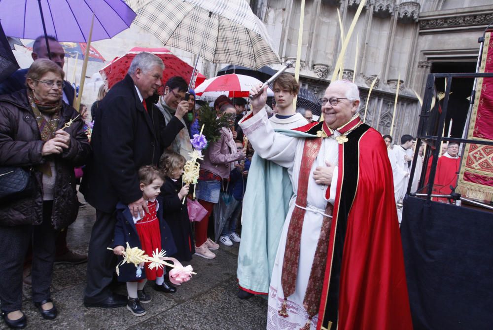 Benedicció de Rams a la catedral de Girona