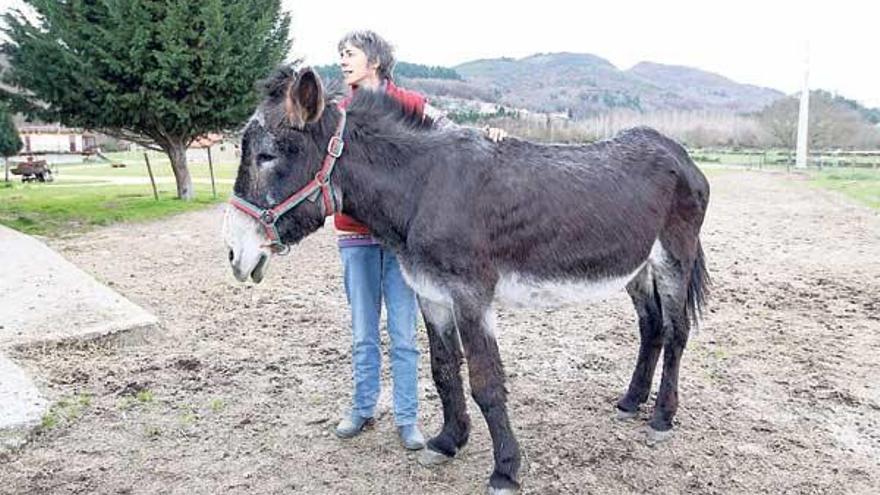 La burra Bienvenida vivirá en Lugo.  // Regal