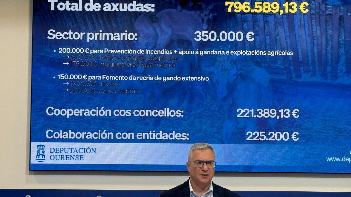 El presidente de la Diputación de Ourense, Luis Menor.