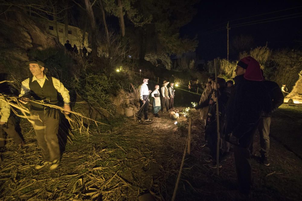 Nit Viva de Fonollosa 2019