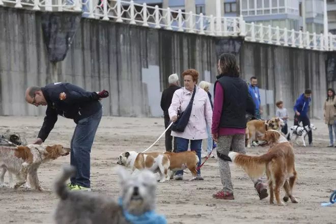 Casi 700 firmas piden un horario para el acceso de perros a la playas de Castrillón en verano