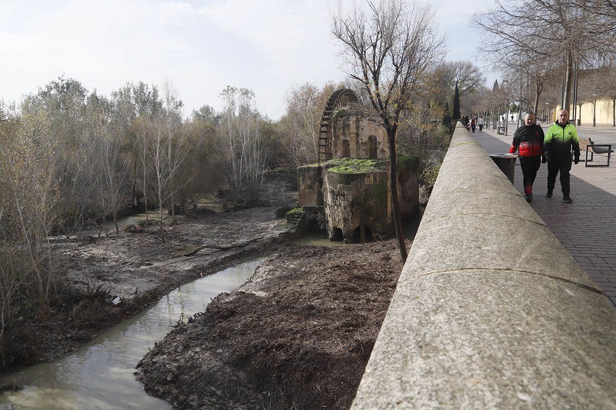 En imágenes el estado de la limpieza de los Sotos de la Albolafia