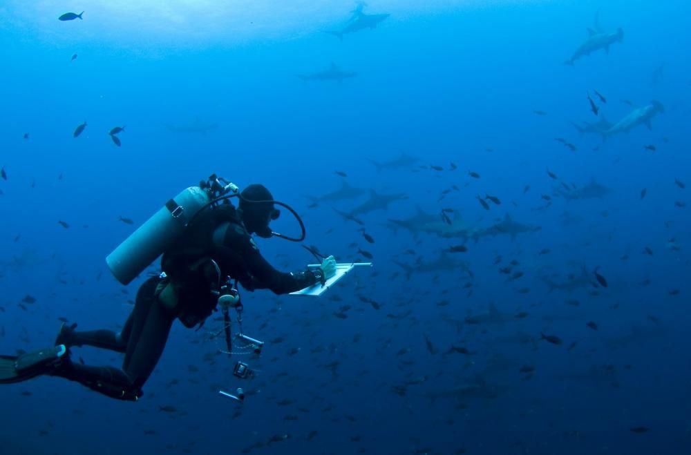 Pelayo Salinas, un asturiano en el santuario marino de las islas Galápagos