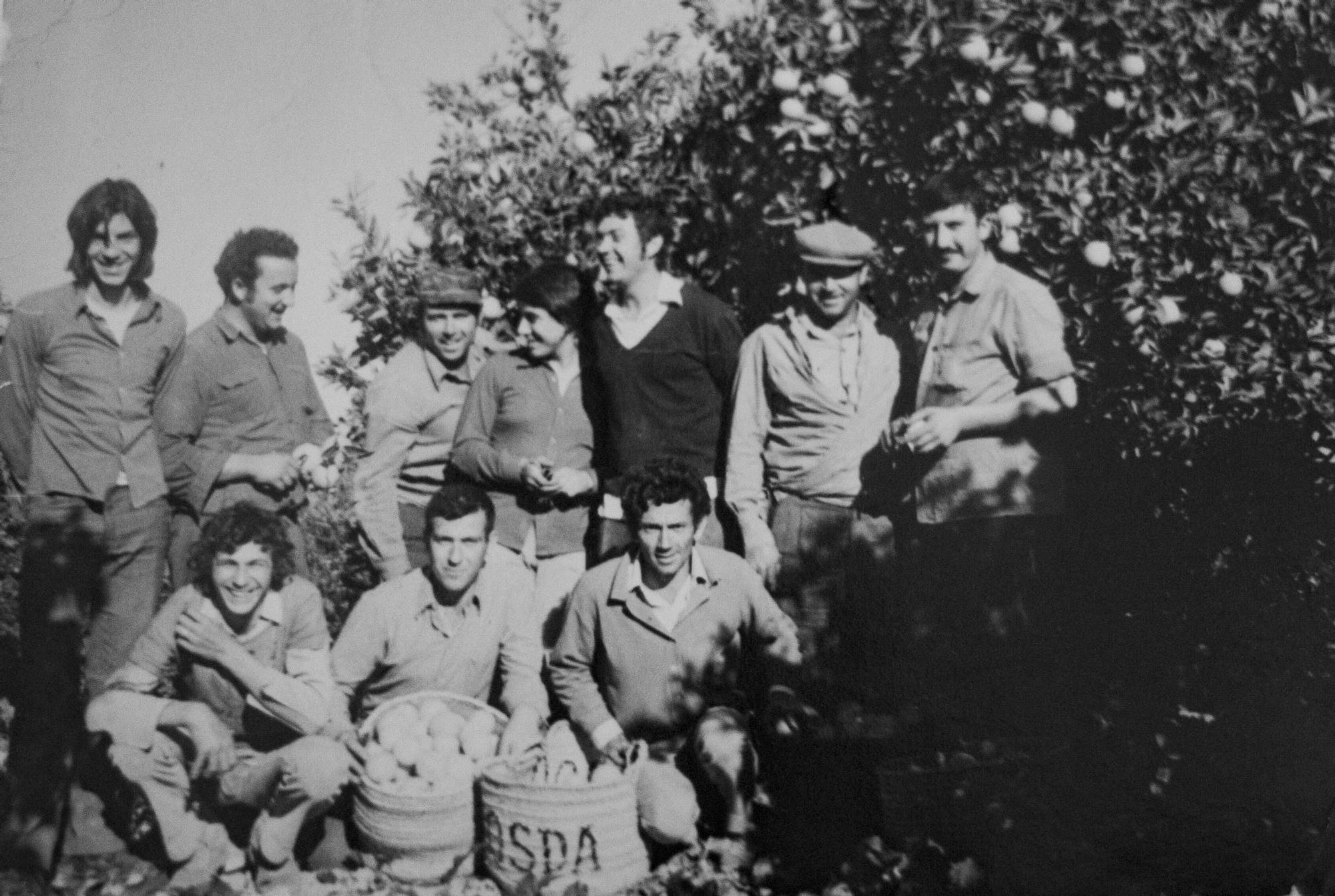 Así se recogía la naranja en la Ribera hace 60 años