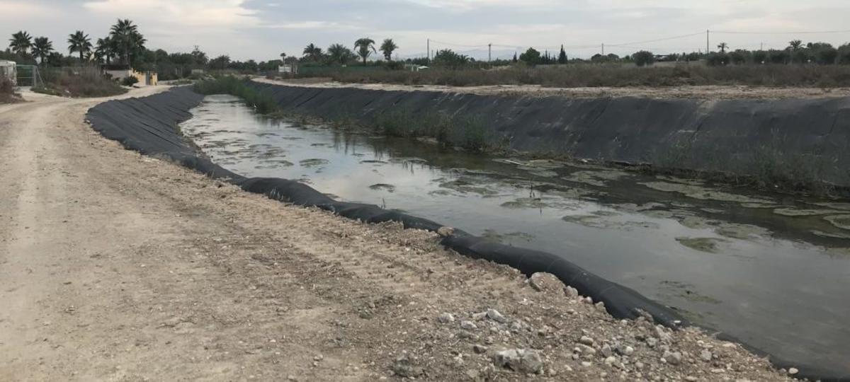Tareas de retirada de cañas en el río Vinalopó.