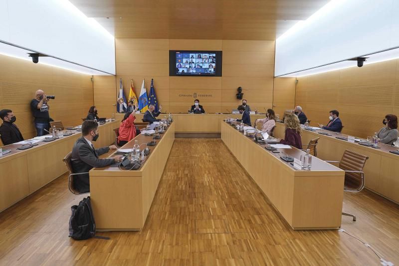 Pleno del Cabildo de Tenerife, 26.11.2021