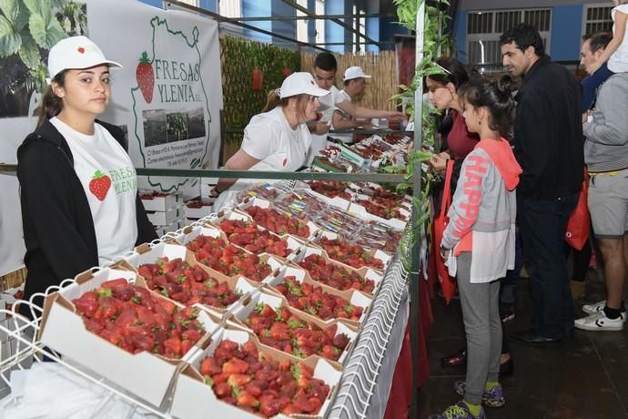 GRAN CANARIA 29-04-2018   VALSEQUILLO.  Feria de ...