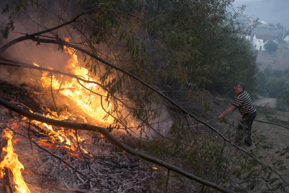 Verín, en alerta por un incendio forestal