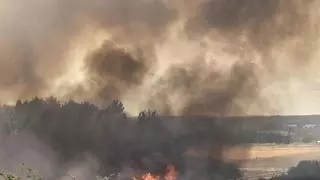 Controlado un incendio que ha afectado a casi 14 hectáreas en Rosinos de Vidriales