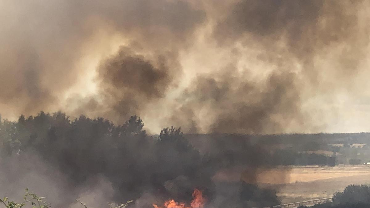VÍDEO | Incendio en Rosinos de Vidriales