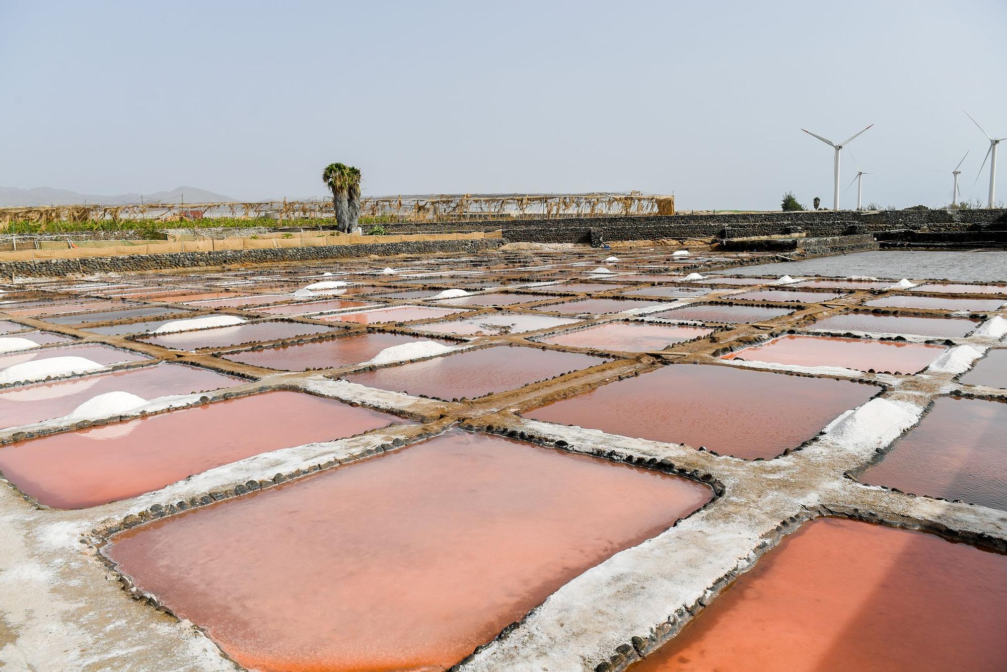 Salinas de Vargas