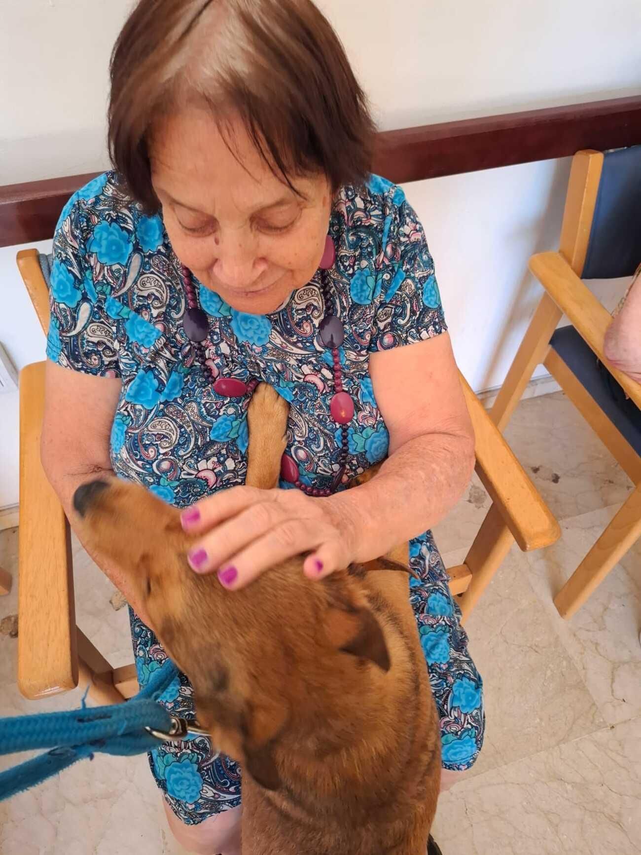 Arrugas con huellas: proyecto con mascotas abandonadas en centro de mayores
