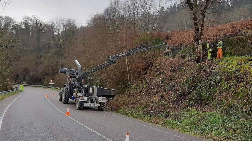 La Diputación licita el desbroce en más  de 1.600 kilómetros de carreteras