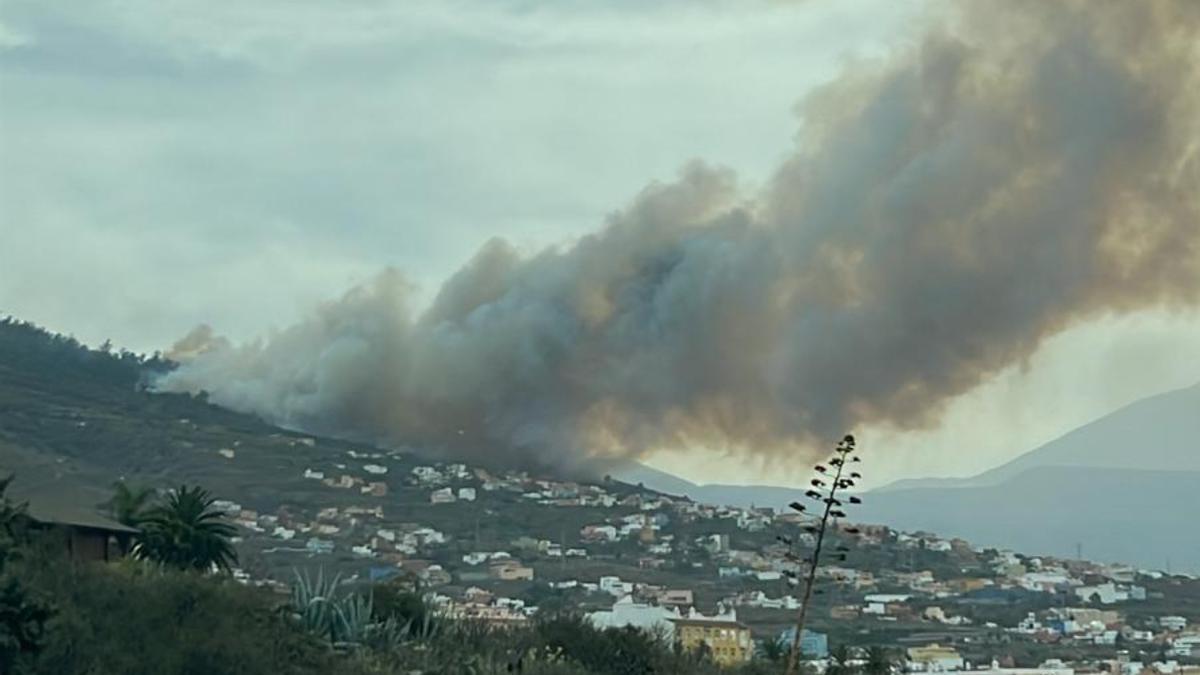 Nueva reactivación en Las Charquitas, zonas afectada por el incendio forestal de Tenerife