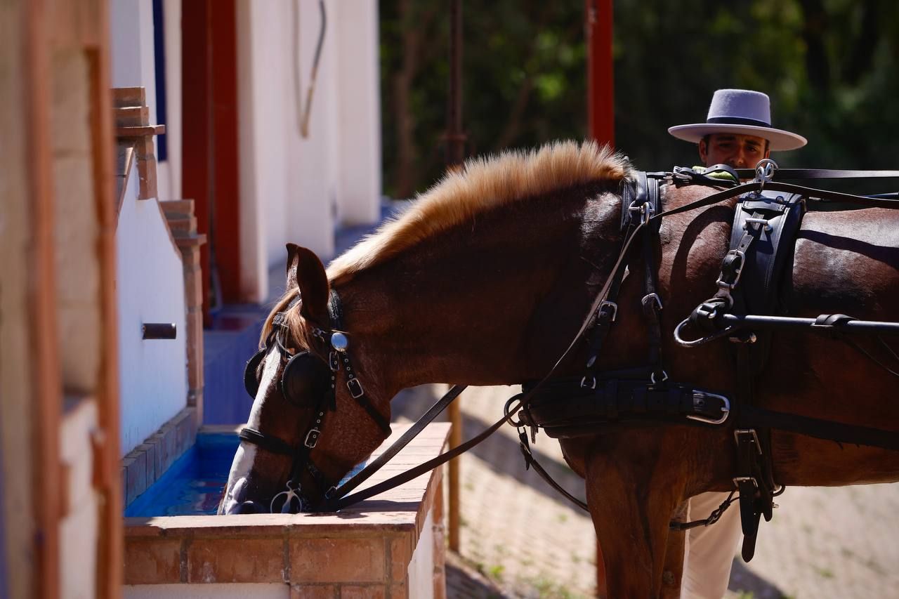 La Feria de Córdoba en imágenes: un martes para tomárselo sin prisas en El Arenal