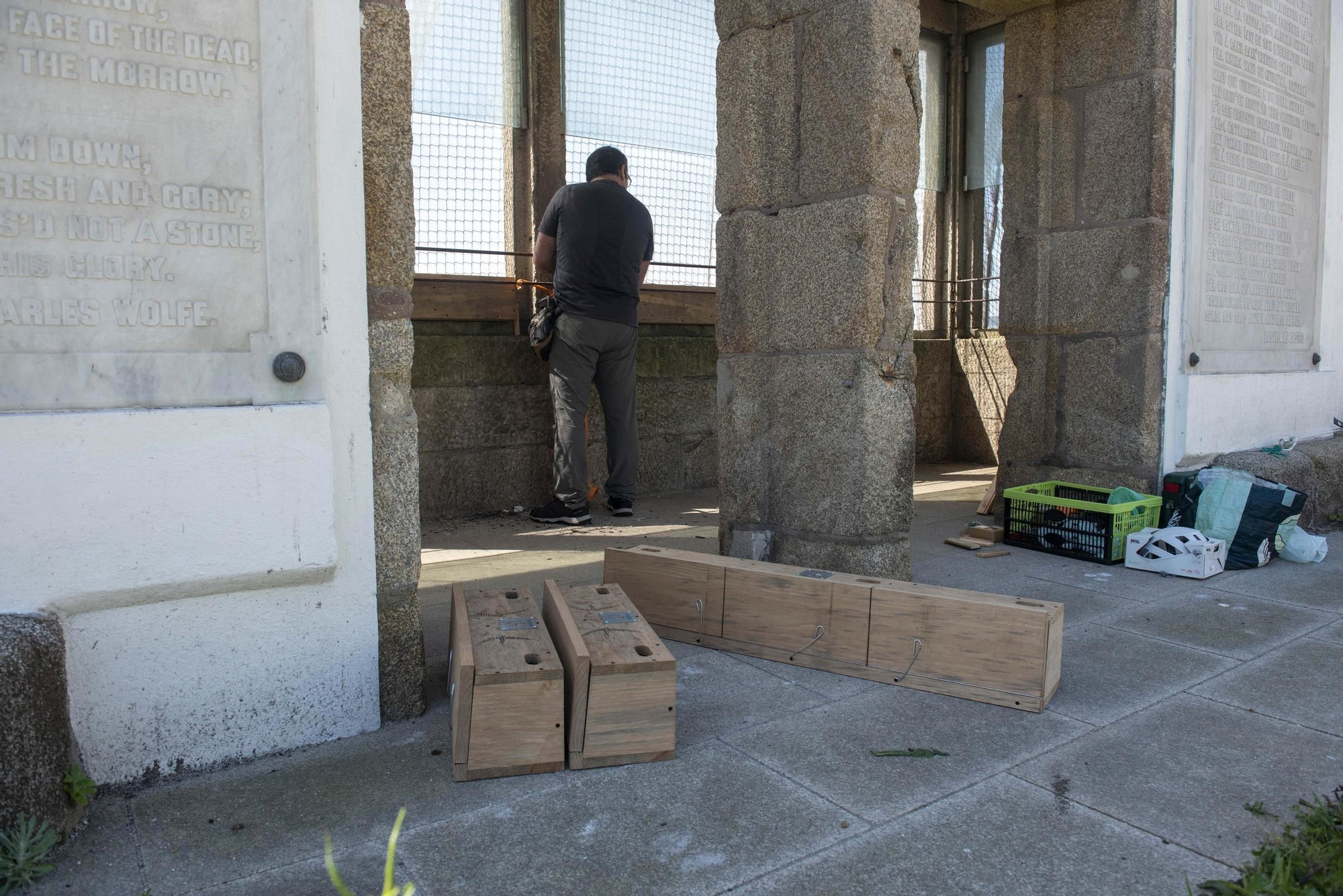 Nuevos hogares para los vencejos en el jardín de San Carlos