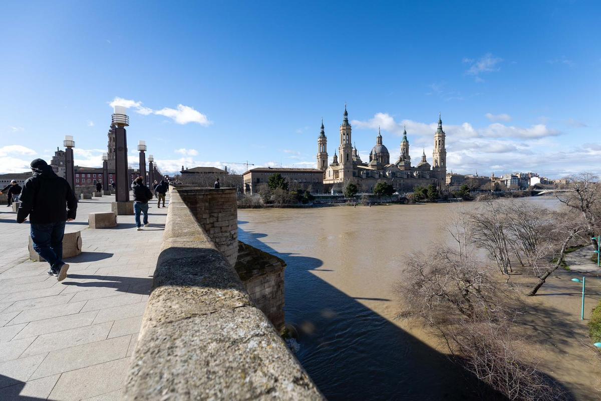 En imágenes I Árboles caídos en Zaragoza y parques cerrados por el viento