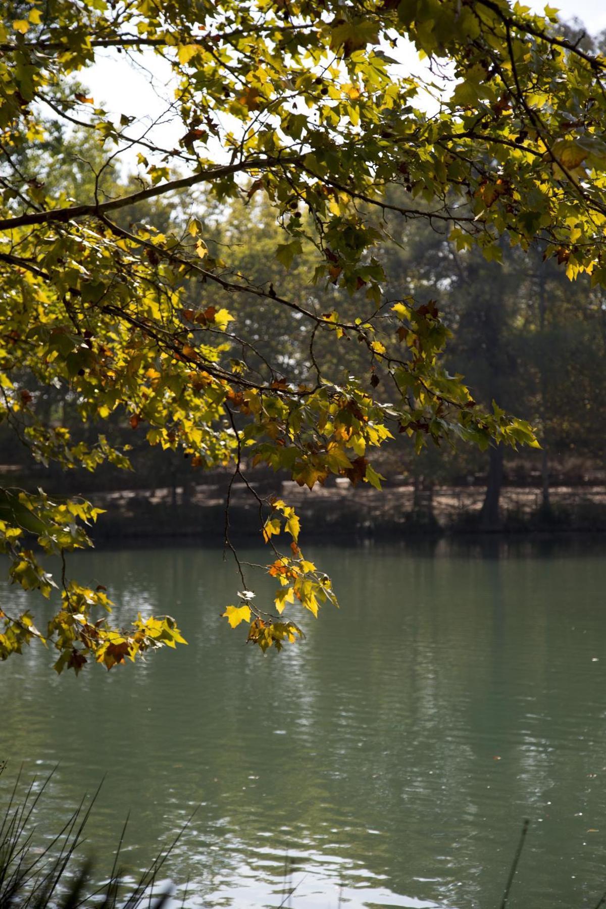 El Caroig - Muela de Cortes: El paradigma del relieve tabular y los desiertos humanos